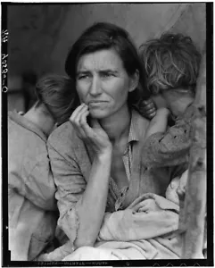 CD libro de fotos de 1.419 páginas de Dorothea Lange migrante + Gran Depresión en California - Imagen 1 de 12