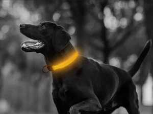 Hundehalsband LED Halsband Hunde Leuchthalsband Leuchtband Geschirr 45-80 cm - Bild 1 von 15