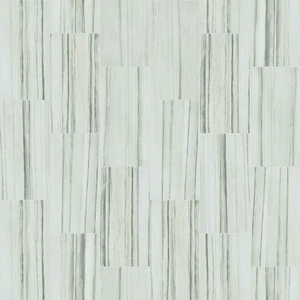Shaw CS34W Casino - 12" x 24" Rectangle Floor Tile - Matte Marble - Zebrino - Picture 1 of 7