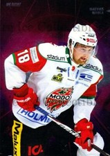 2013-14 Swedish Elitset Pro Experience #9 Mattias Ritola