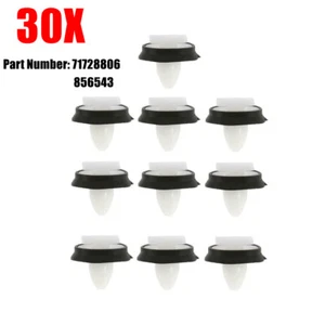 30x 9mm Trim Clips For Fiat Ducato Exterior Side Moulding Rub Bump Lower Door - Picture 1 of 5