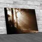 Heavenly Light In Tress Sepia Canvas Print Large Picture Wall Art