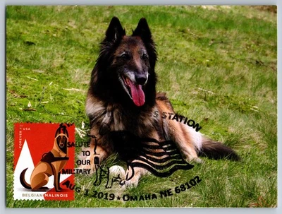 #5407 Military Working Dogs Belgian Malinois FDC Maxi Card w/Pictorial Cancel - Image 1 of 2
