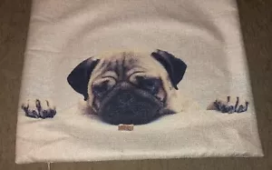 Pug Dog With Bone Pillowcase / Cover 18 Inch Square - Adorable - Picture 1 of 6