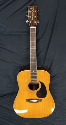 Hohner International HG310 Limited Edition Guitar - Japan - READ DESCRIPTION - Image 1 of 4