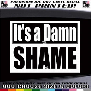 It's a Damn Shame Calcomanía Adhesiva Cuello Azul Himno Llamado a la Acción Orgulloso Americano - Imagen 1 de 4