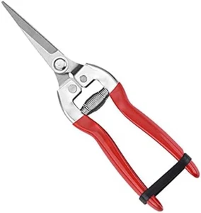 Garden Shears Pruning Shears for Gardening Pruner, for Plants, Grape Picking, Sm - Picture 1 of 7