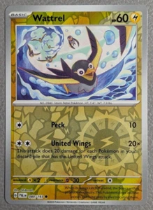Wattrel Reverse Holo NM PAL 080/193 Paldea Evolved Pokemon Card - Picture 1 of 1