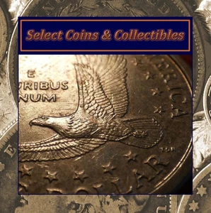 2000-P Sacagawea Dollar "Wounded Eagle" FS-901 Error Coin #3506 - Picture 1 of 16