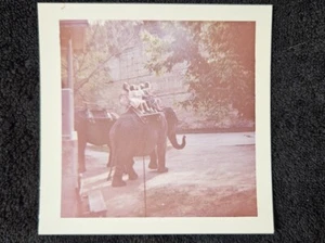 Kinder reiten Elefant Brackenridge Park Zoo San Antonio TX 1960 Foto - Bild 1 von 2