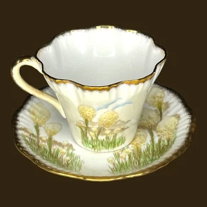 JONROTH Vtg Fine Bone China Tea Cup and Saucer American Beargrass Salisbury - Picture 1 of 11