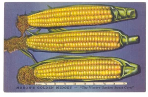 MASON'S GOLDEN MIDGET CORN tolles Poster-Stil 1943 Leinen AD Postkarte NYC  - Bild 1 von 2