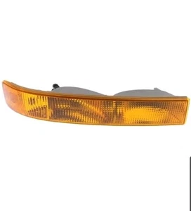 Passenger Side Parking and Turn Signal Lamp - GM (84218438) - Bild 1 von 3