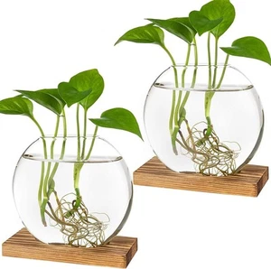 Kingbuy Desktop Round Glass Planter Terrarium Flower Vase with Wooden Brown  - Picture 1 of 9