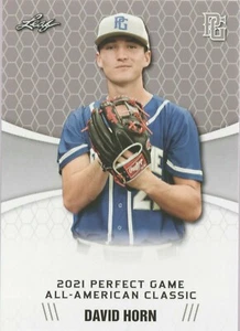 DAVID HORN 2021 LEAF PERFECT GAME "LIMITED EDITION" ROOKIE CARD #14! MINT! - Picture 1 of 1