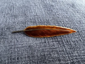 vintage sterling silver enamel feather brooch - Bild 1 von 10