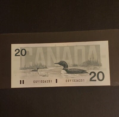 Billete de 20 dólares del Banco de Canadá RADAR 1991. Billete radar de 4 dígitos. Foto 1 de 2