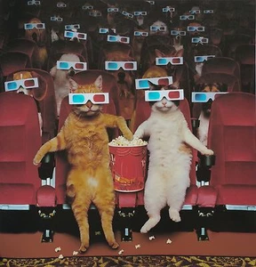 Cats in a 3-D Movie, Funny, digital print,18"h x 18"w image - Picture 1 of 1