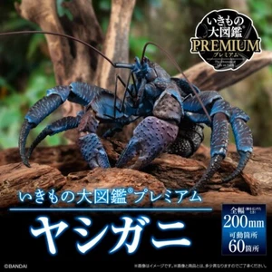 Ikimono Daizukan Premium Coconut crab Birgus latro figure 200mm BANDAI 2023 - Foto 1 di 9