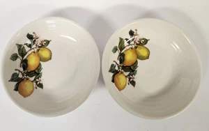 Ceramica Cuore Lemon Fruit Pasta / Soup Bowl  Made In Italy Set Of 2 - Picture 1 of 8