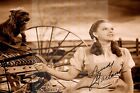 The Wizard of Oz Judy Garland With Her Dog 7X5 Signed Photo Ready to Frame.