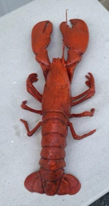 VTG Lobster Blow Mold Plastic Restaurant Decor Prop Display 20" Long - Picture 1 of 4