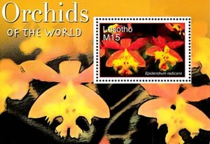 Lesotho 2007 Orchideen/Blumen S/S #2 MNH ** 💲KOSTENLOSER VERSAND💲 - Bild 1 von 1