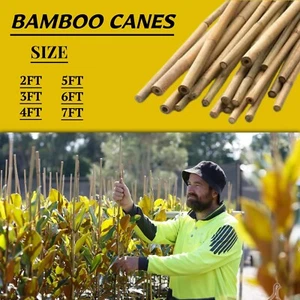 Bastones de bambú premium palos gruesos de soporte para plantas de jardín de 2 pies a 7 pies - duraderos Reino Unido - Imagen 1 de 7