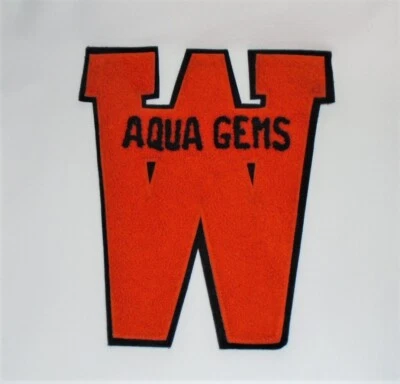 Vintage Letterman Letter Patch Chenille Letter W Aqua Gems Varsity 8 1/2" - Image 1 of 4