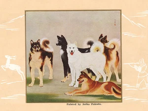 JAPANESE AKITA CHARMING DOG GREETINGS NOTE CARD BEAUTIFUL GROUP STUDY - Picture 1 of 1