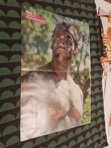 Arnold Schwarzenegger   1980s Magazine Centerfold Poster  - Picture 1 of 1