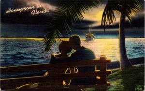 Postcard Honeymoon In Florida FL Couple On Bench Moonlight Posted 1954 - Picture 1 of 2