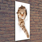 Wand-Bild Kunstdruck aus Hart-Glas Hochformat 50x125 Katze
