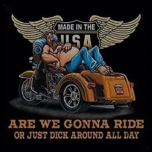 Are We Gonna Ride or Just Dick Around? SUDADERA CON CAPUCHA Trike Biker negra L - 4X - Imagen 1 de 1