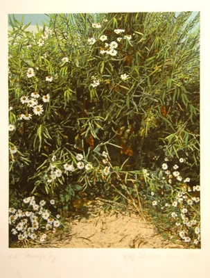 Rolf Schröder Borm,  Farbsiebdruck, 1980,  handsigniert,  "Sonniger Tag" - Bild 1 von 4