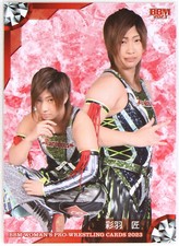 Choice- Marvelous - 2023 BBM Women's Pro-Wrestling Trading Cards