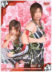 Choice- Marvelous - 2023 BBM Women's Pro-Wrestling Trading Cards