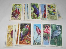  BROOK BOND TEA CARDS - TROPICAL BIRDS (BLUE) - PICK THE CARD NUMBER YOU WANT'