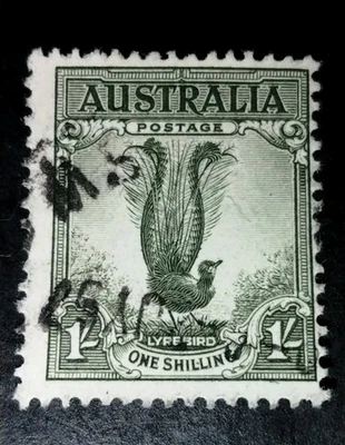 Australia 1 Shilling Lyrebird Stamp Used VF Cond. Sc.141 - Image 1 of 3