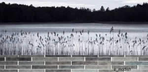 IKEA BJÖRKSTA BJORKSTA Woodland lake Picture (No Frame), 55 x 22 " - Picture 1 of 3
