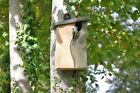 Stylish Curve Cavity Nest Box Simon King for bluetits, sparrows, flycatchers etc