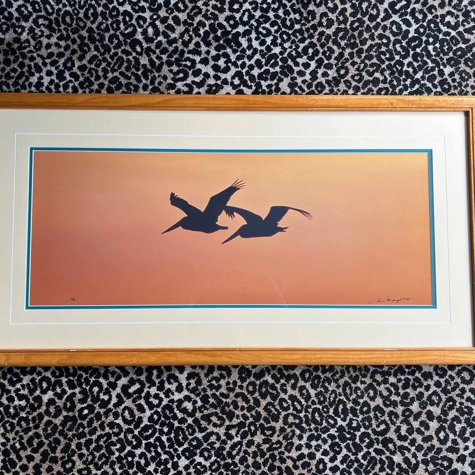 Foto artística firmada por Thomas Mangelsen Ltd pelícanos aves alas al atardecer numeradas MCM Foto 1 de 4