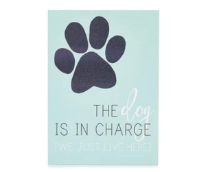 NUEVO Letrero decorativo de caja The Dog Is In Charge We Just Live Here 5x7 verde azulado - Imagen 1 de 6