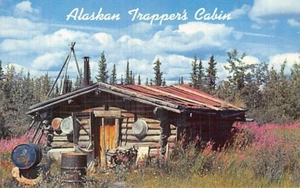 Postal postal: Alaskan Trapper's Cabin, Alaska, años 50, cromada, sin publicar - Imagen 1 de 2