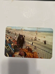 Postkarte Atlantic City New Jersey berühmtes Sonnendeck - Bild 1 von 2