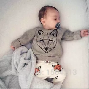 2PCS Toddler baby Boys Cotton Tops + pants outfits & Sets kid Boys Clothing Wolf - Picture 1 of 3