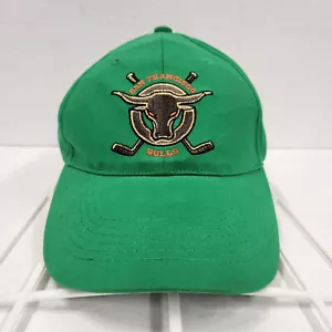 San Francisco Bulls Strapback Cap Mütze Minor Hockey ECHL grün - Bild 1 von 11