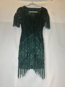 Flapper Gatsby 1920s Gatsby Sequin Knotted Fringe SM Cap Sleeve Lined Dance - Picture 1 of 14