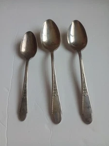 Wm Rogers Gardenia International Silber Teller 3 Gedecke ovale Löffel Teelöffel  - Bild 1 von 5