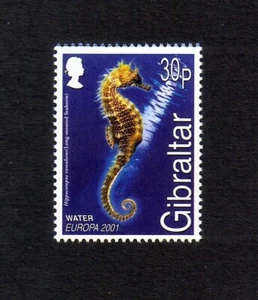 Gibraltar 2001 Long-snouted Seahorse single value (SG 968) MNH - Picture 1 of 1